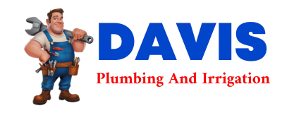 Trusted plumber in NEPHI